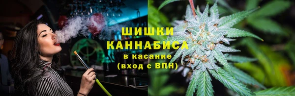 винт Богородицк