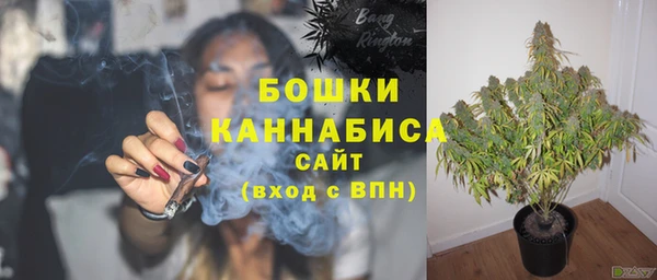 ГАЛЛЮЦИНОГЕННЫЕ ГРИБЫ Богданович