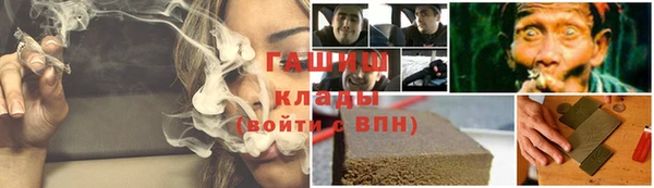 ГАЛЛЮЦИНОГЕННЫЕ ГРИБЫ Богданович
