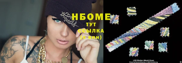 ГАЛЛЮЦИНОГЕННЫЕ ГРИБЫ Богданович