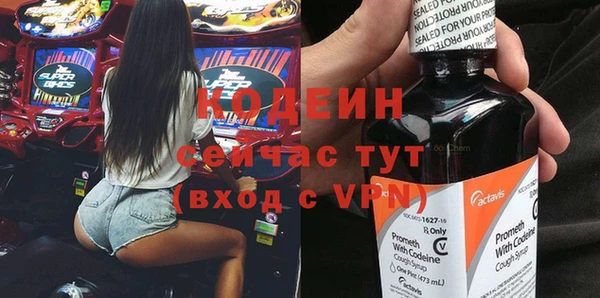 ГАЛЛЮЦИНОГЕННЫЕ ГРИБЫ Богданович