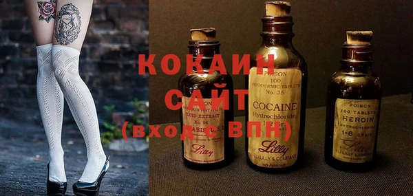 ГАЛЛЮЦИНОГЕННЫЕ ГРИБЫ Богданович