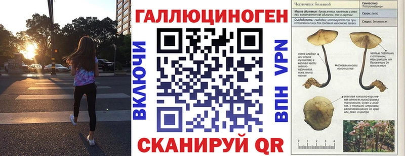 OMG онион  Новокузнецк  Галлюциногенные грибы Magic Shrooms 